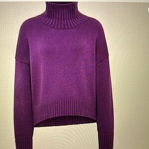 New Purple Turtleneck Lord & Taylor